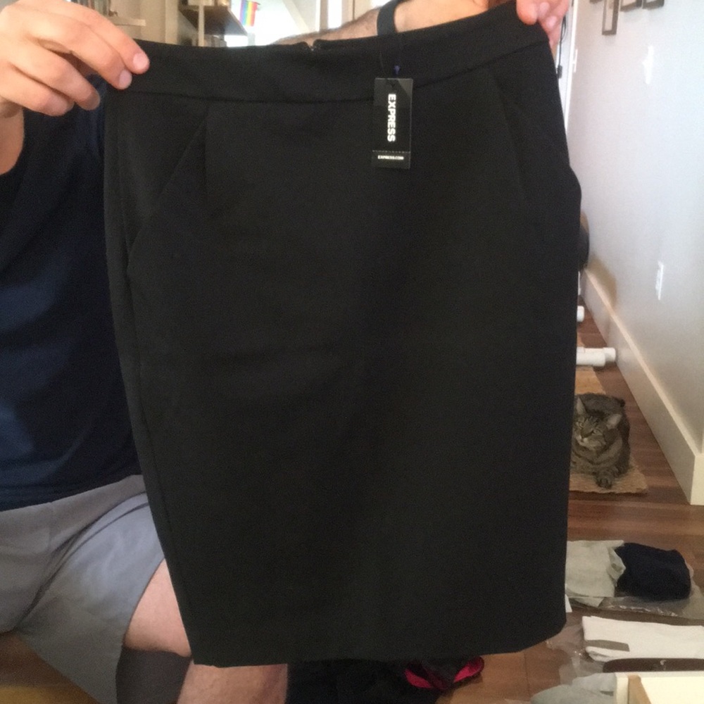 NWT Express 0 Pencil Skirt Brand New